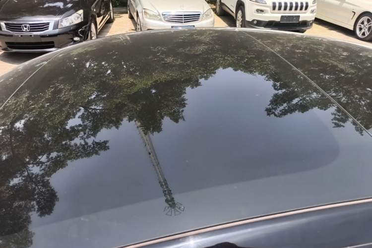Used Tesla Model 3 2022 Rear-Wheel-Drive Version Roof