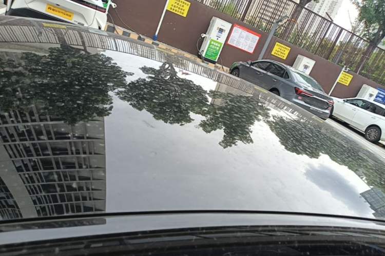 Used Tesla Model 3 2022 Rear-Wheel-Drive Version Roof