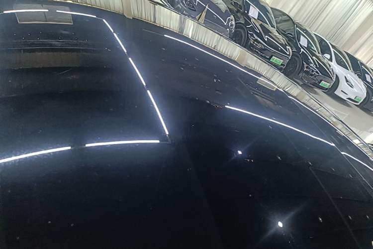 Used Tesla Model 3 2022 Rear-Wheel-Drive Version Roof