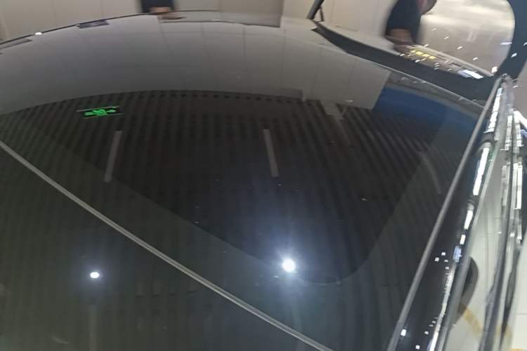 Used Tesla Model 3 2022 Rear-Wheel-Drive Version Roof