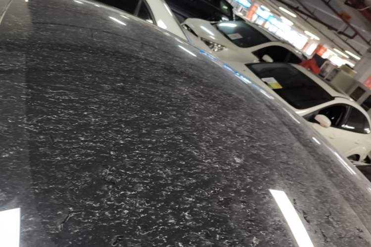 Used Tesla Model 3 2022 Rear-Wheel-Drive Version Roof