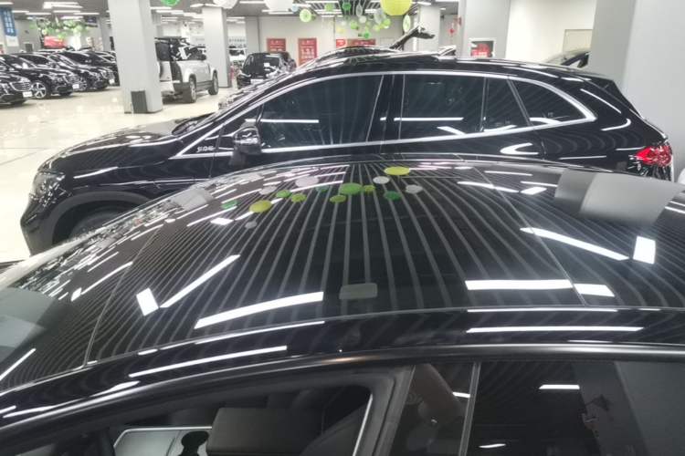 Used Tesla Model 3 2022 Rear-Wheel-Drive Version Roof