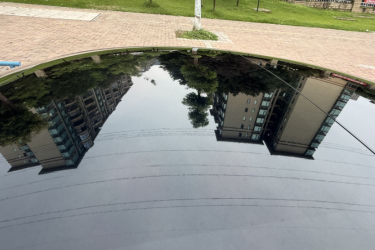 Used Tesla Model 3 2022 Rear-Wheel-Drive Version Roof