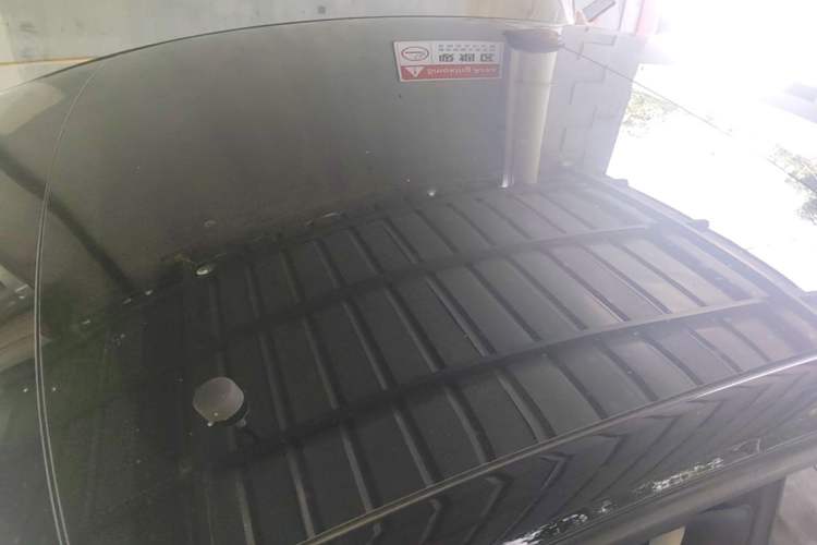 Used Tesla Model 3 2022 Rear-Wheel-Drive Version Roof