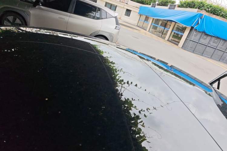 Used Tesla Model 3 2022 Rear-Wheel-Drive Version Roof