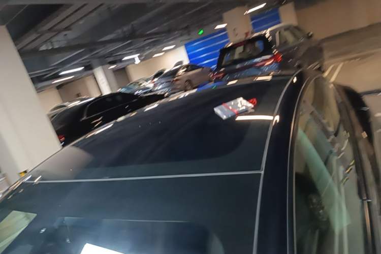 Used Tesla Model 3 2022 Rear-Wheel-Drive Version Roof