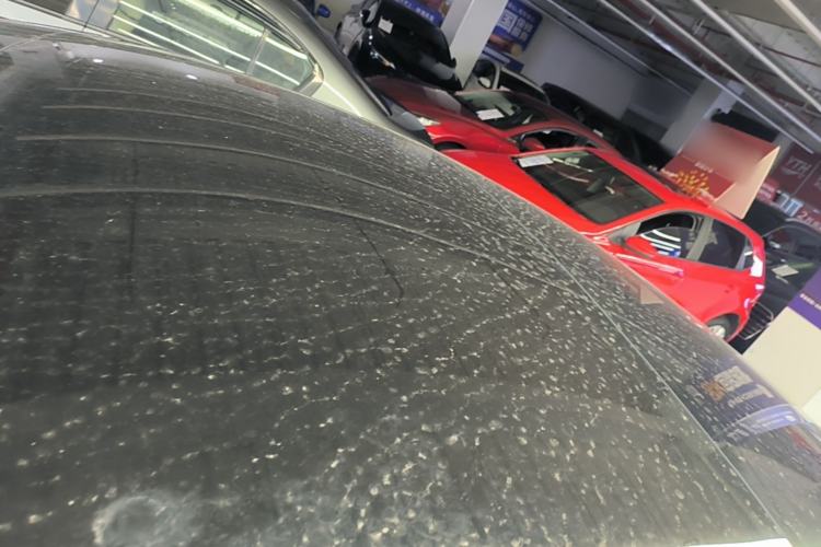 Used Tesla Model 3 2022 Rear-Wheel-Drive Version Roof