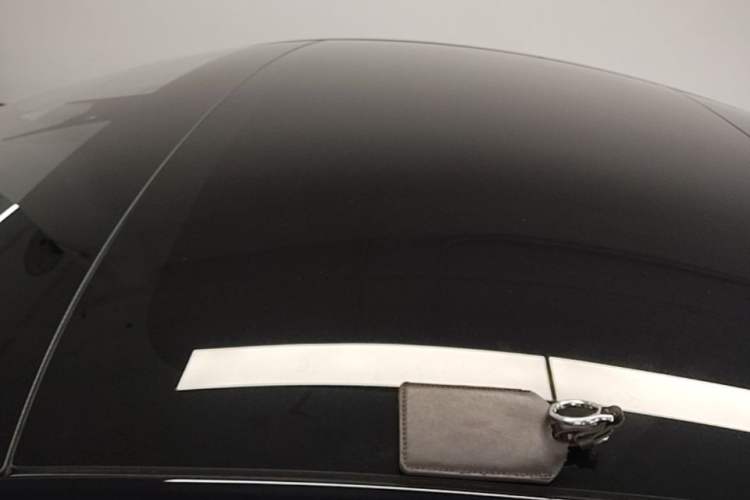 Used Tesla Model 3 2022 Rear-Wheel-Drive Version Roof