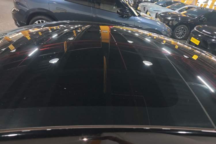 Used Tesla Model 3 2022 Rear-Wheel-Drive Version Roof