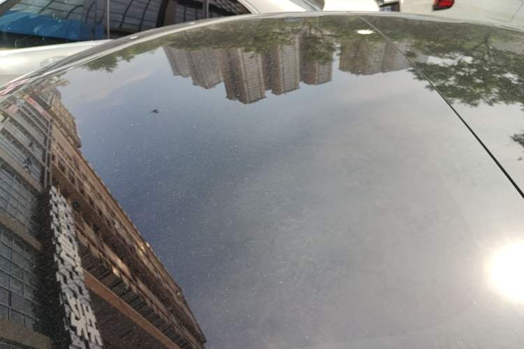 Used Tesla Model 3 2022 Rear-Wheel-Drive Version Roof