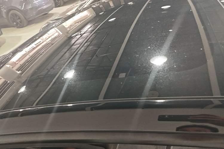 Used Tesla Model 3 2022 Rear-Wheel-Drive Version Roof