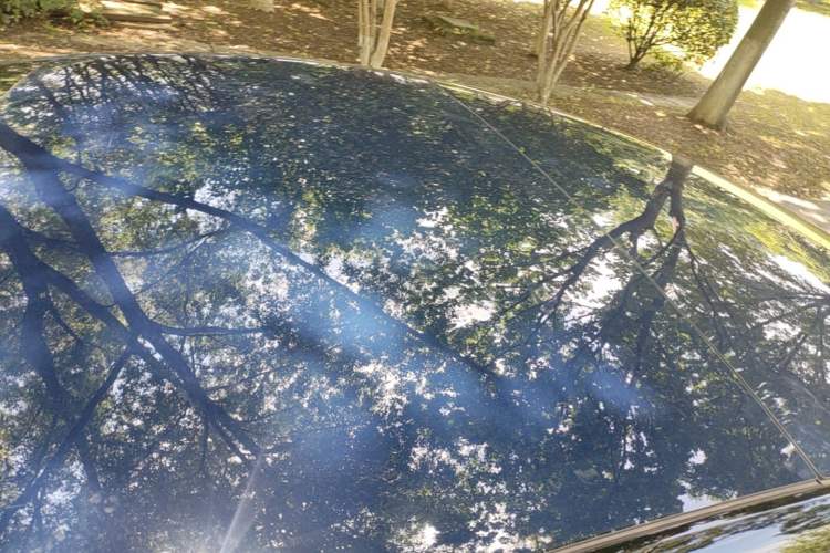 Used Tesla Model 3 2022 Rear-Wheel-Drive Version Roof