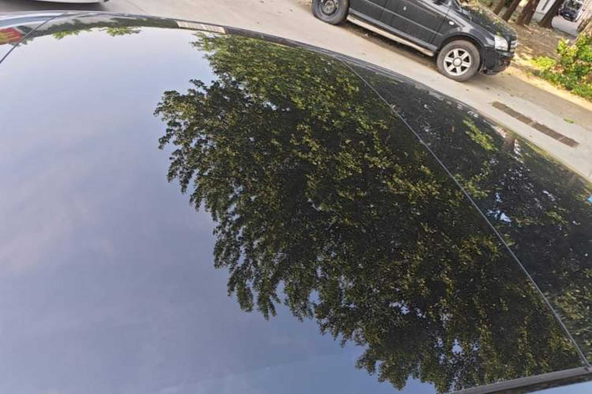 Used Tesla Model 3 2022 Rear-Wheel-Drive Version Roof