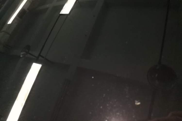 Used Tesla Model 3 2022 Rear-Wheel-Drive Version Roof