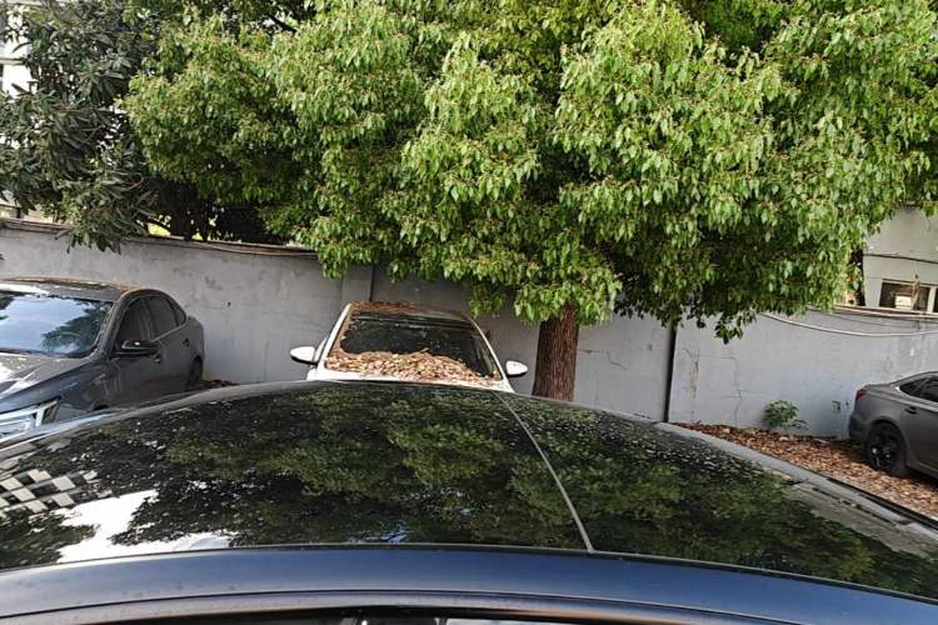 Used Tesla Model 3 2022 Rear-Wheel-Drive Version Roof