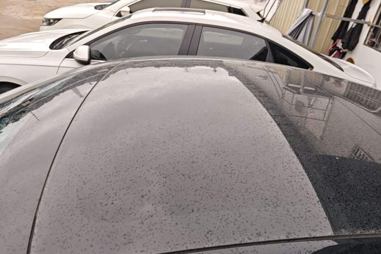 Used Tesla Model 3 2022 Rear-Wheel-Drive Version Roof