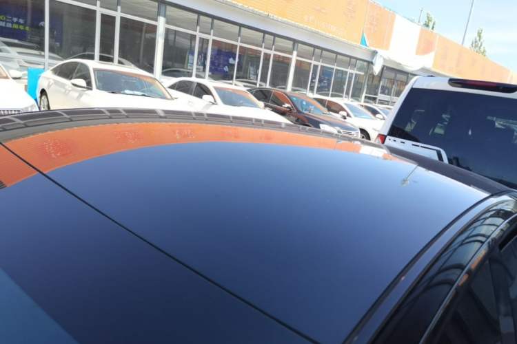 Used Tesla Model 3 2022 Rear-Wheel-Drive Version Roof