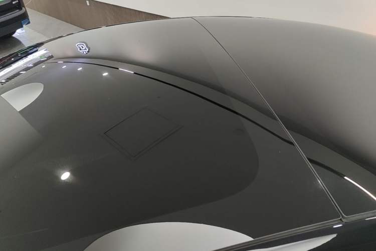 Used Tesla Model 3 2022 Rear-Wheel-Drive Version Roof