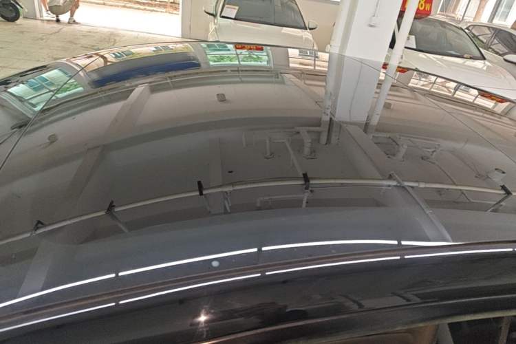 Used Tesla Model 3 2022 Rear-Wheel-Drive Version Roof