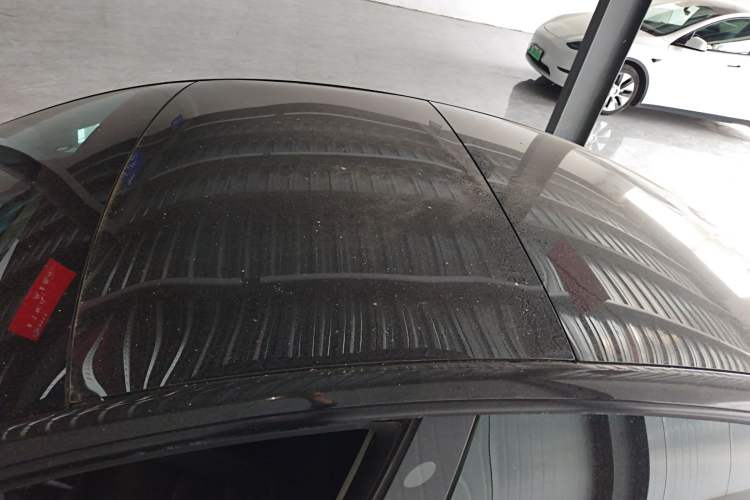 Used Tesla Model 3 2022 Rear-Wheel-Drive Version Roof