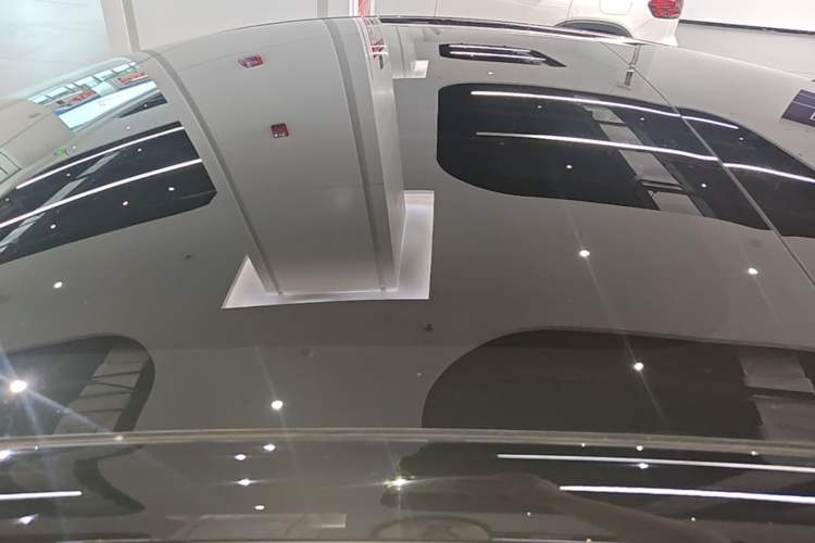 Used Tesla Model 3 2022 Rear-Wheel-Drive Version Roof