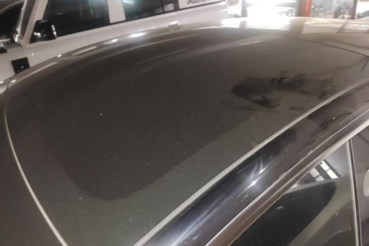 Used Tesla Model 3 2022 Rear-Wheel-Drive Version Roof