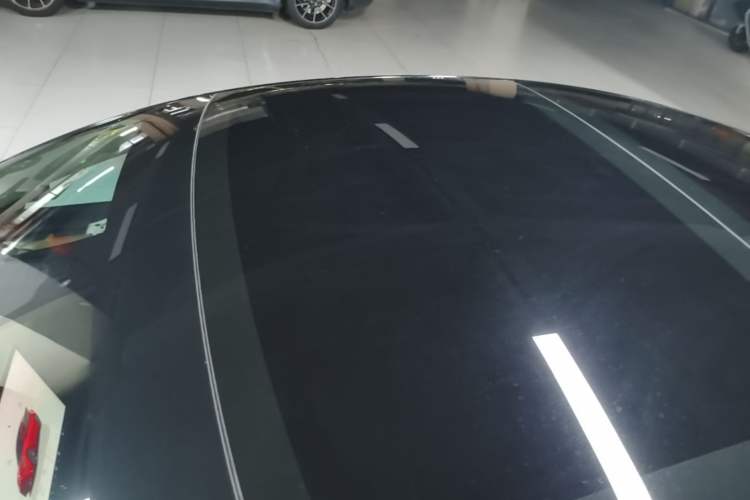 Used Tesla Model 3 2022 Rear-Wheel-Drive Version Roof