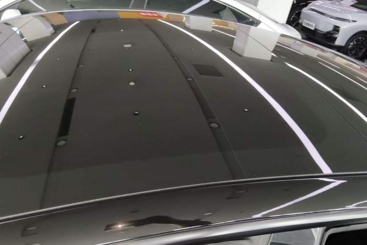 Used Tesla Model 3 2022 Rear-Wheel-Drive Version Roof