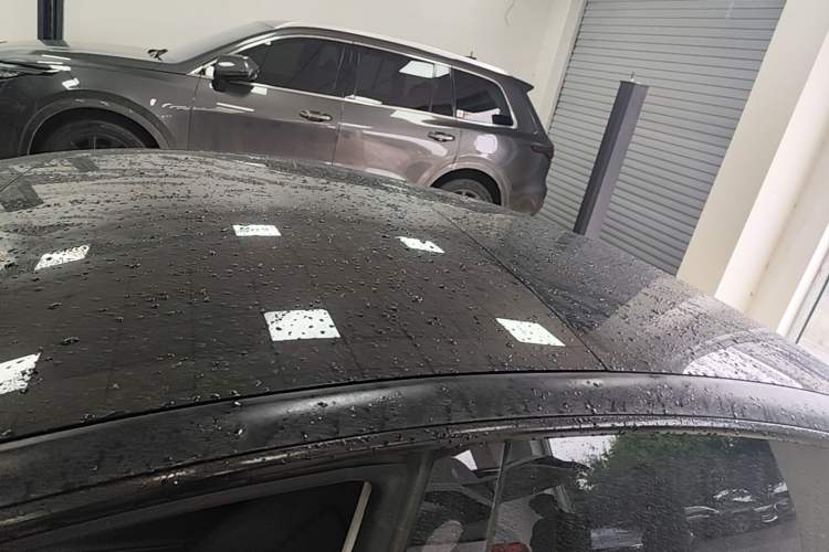 Used Tesla Model 3 2022 Rear-Wheel-Drive Version Roof