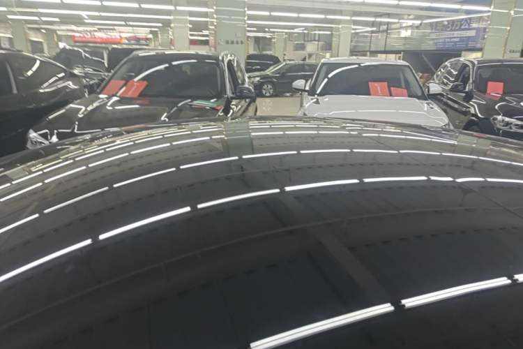 Used Tesla Model 3 2022 Rear-Wheel-Drive Version Roof