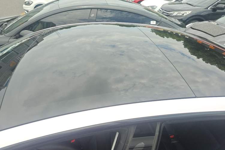 Used Tesla Model 3 2022 Rear-Wheel-Drive Version Roof