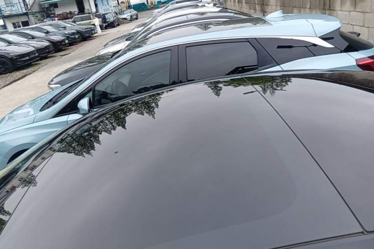 Used Tesla Model 3 2022 Rear-Wheel-Drive Version Roof