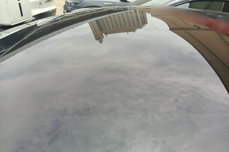 Used Tesla Model 3 2022 Rear-Wheel-Drive Version Roof