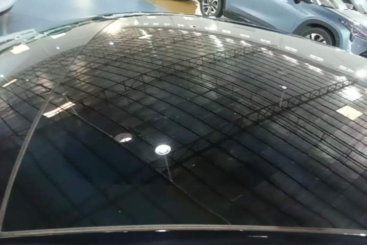 Used Tesla Model 3 2022 Rear-Wheel-Drive Version Roof