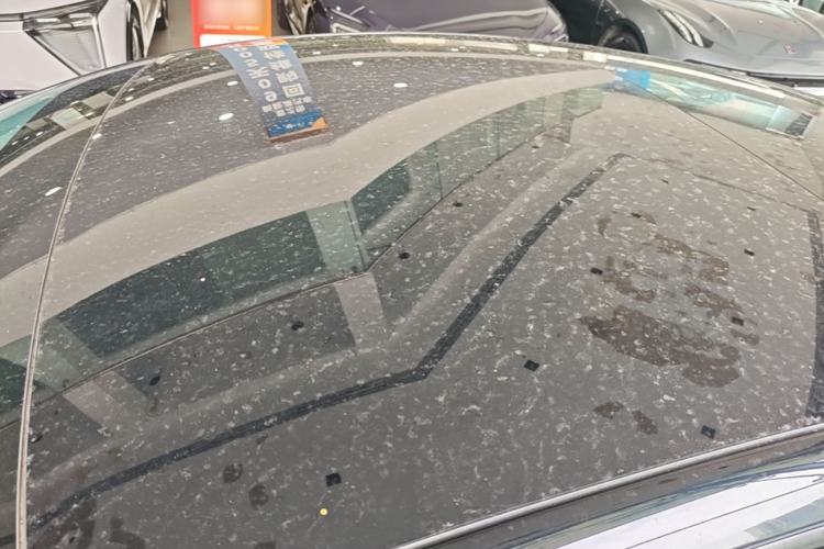Used Tesla Model 3 2022 Rear-Wheel-Drive Version Roof