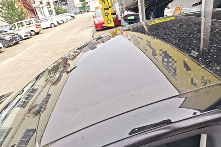 Used Tesla Model 3 2022 Rear-Wheel-Drive Version Roof