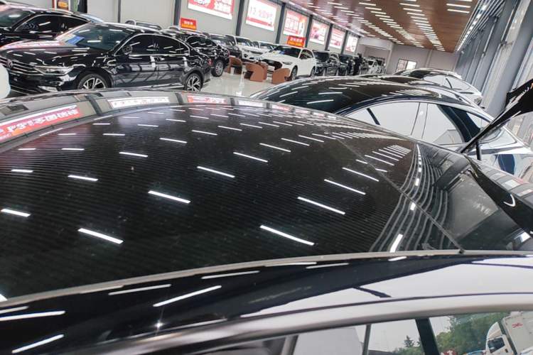 Used Tesla Model 3 2022 Rear-Wheel-Drive Version Roof