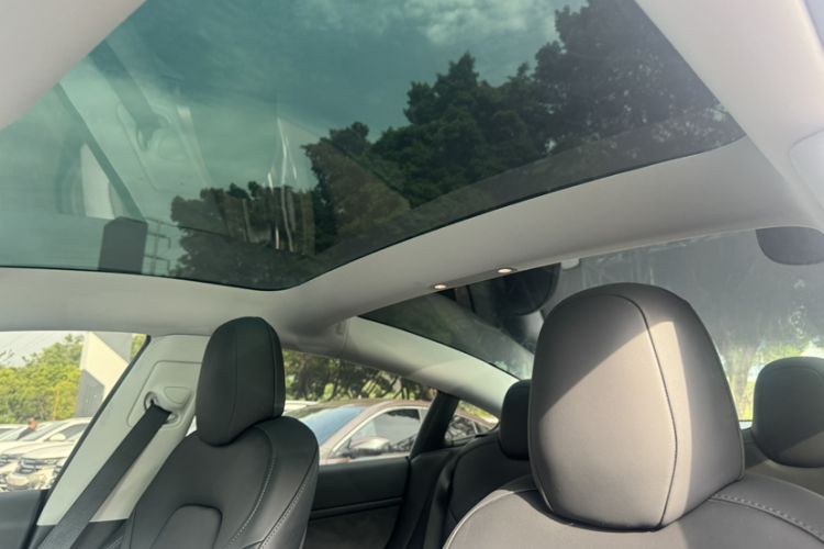 Used Tesla Model 3 2022 Performance High-Performance All-Wheel-Drive Version Roof