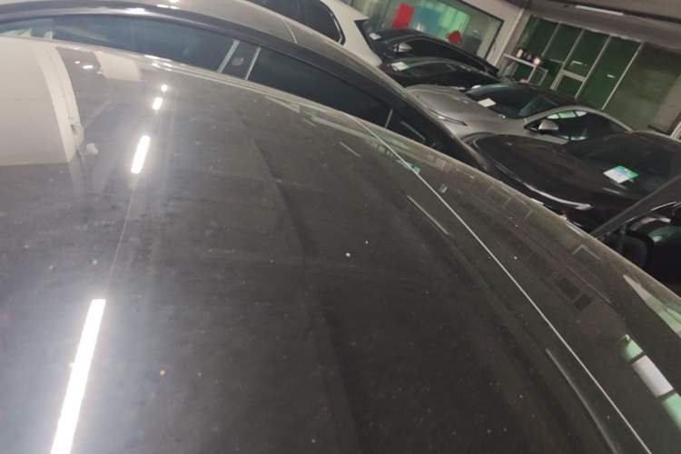 Used Tesla Model 3 2022 Rear-Wheel-Drive Version Roof