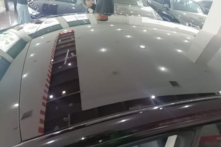 Used Tesla Model 3 2022 Rear-Wheel-Drive Version Roof