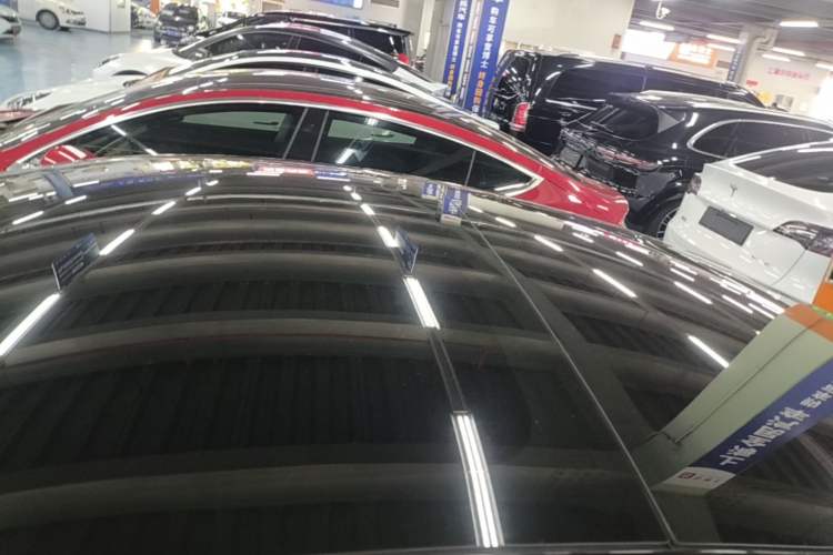 Used Tesla Model 3 2022 Rear-Wheel-Drive Version Roof