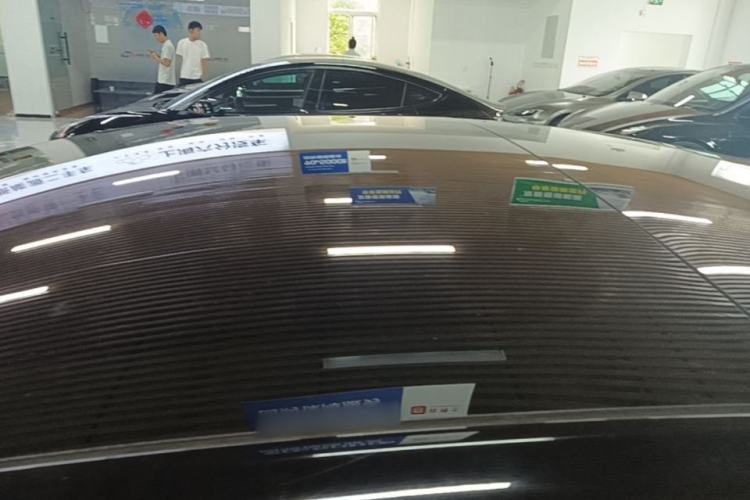Used Tesla Model 3 2022 Rear-Wheel-Drive Version Roof