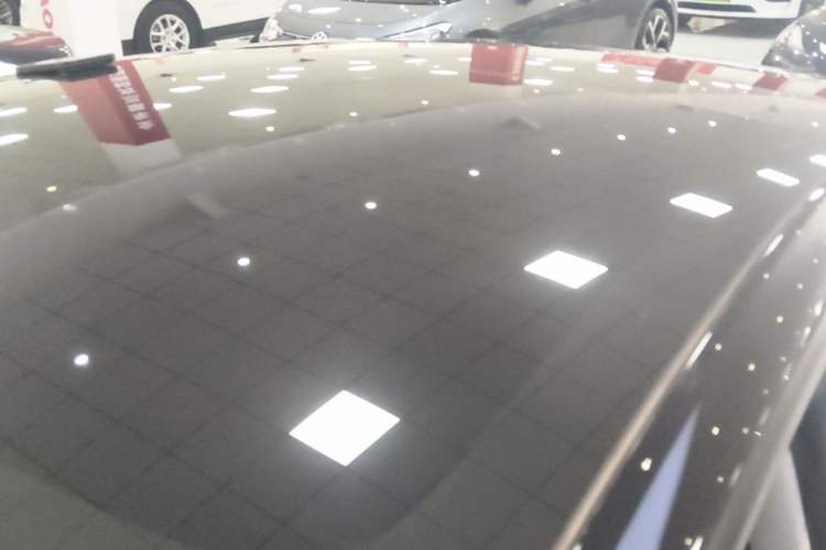 Used Tesla Model 3 2022 Rear-Wheel-Drive Version Roof