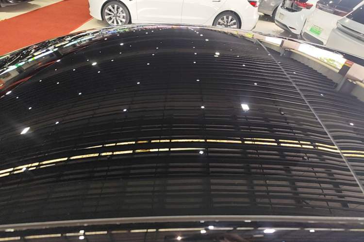 Used Tesla Model 3 2022 Rear-Wheel-Drive Version Roof