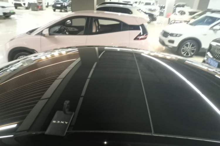 Used Tesla Model 3 2022 Rear-Wheel-Drive Version Roof