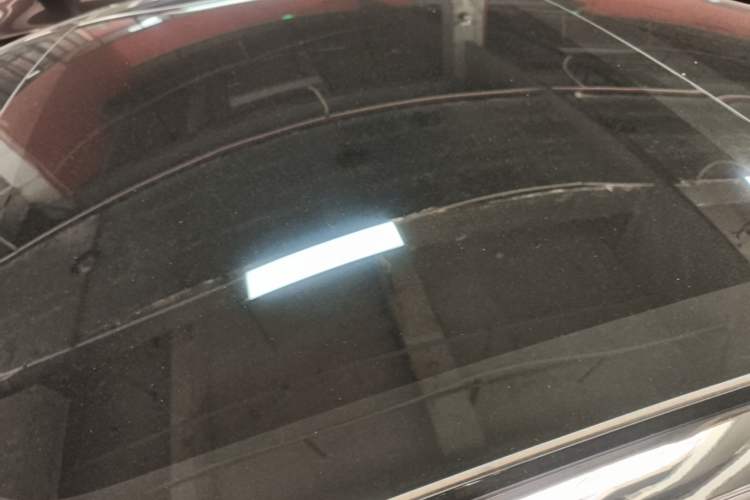 Used Tesla Model 3 2022 Rear-Wheel-Drive Version Roof