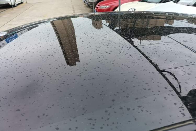 Used Tesla Model 3 2022 Performance High-Performance All-Wheel-Drive Version Roof