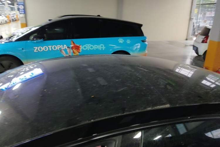 Used Tesla Model 3 2022 Rear-Wheel-Drive Version Roof