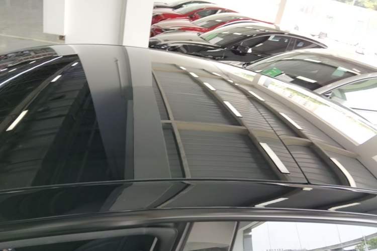 Used Tesla Model 3 2022 Rear-Wheel-Drive Version Roof