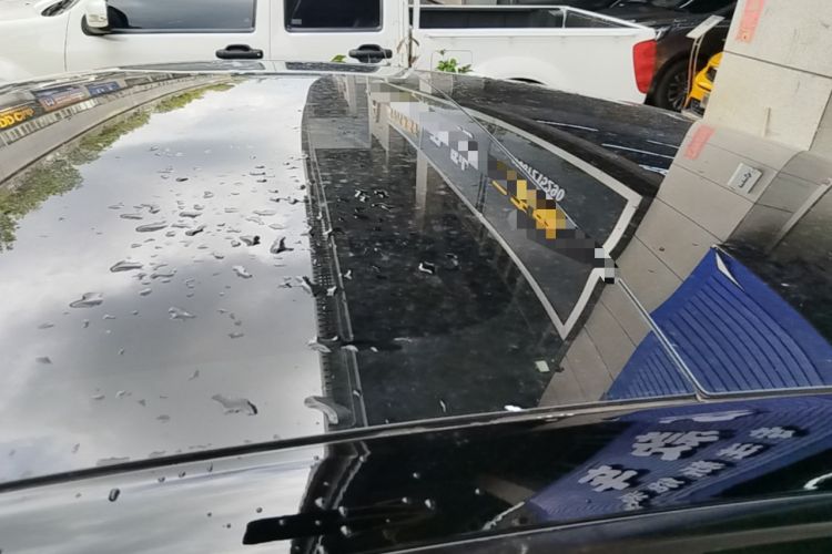 Used Tesla Model 3 2022 Rear-Wheel-Drive Version Roof